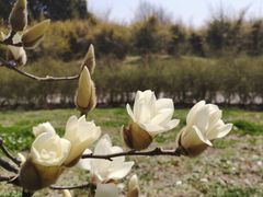 -共青国家森林公园-售票处