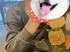 -滇咖啡体验店