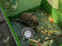 -前小桔亲子创意农场·草莓采摘·露营烧烤