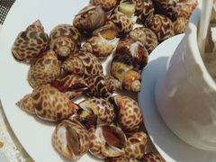 -安蒂娅·海鲜自助餐厅(安蒂娅美兰酒店)