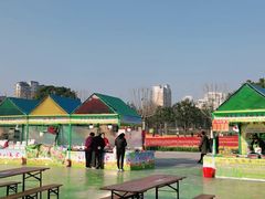 -大宁郁金香公园-停车场