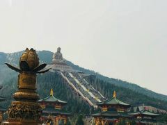 -龙口南山旅游景区