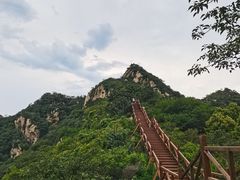 -大岭沟猕猴桃谷风景区