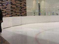 -TheRink大零溜冰场(IFS国金中心店)