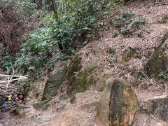 -羚羊峡古栈道森林公园