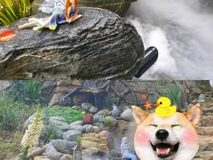 -南山植物园
