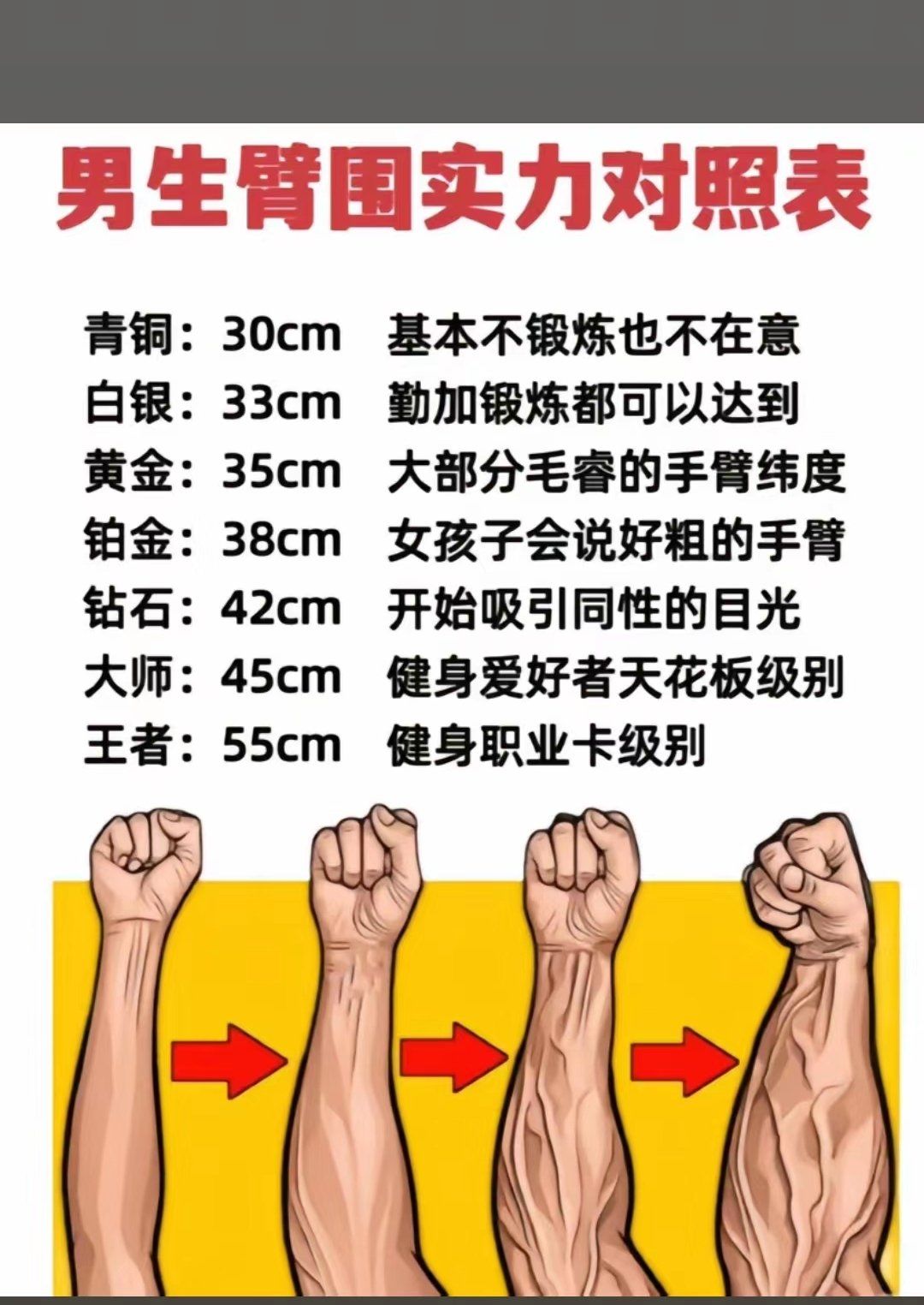 臂围大小看看你多少