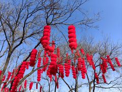 -北京石景山游乐园