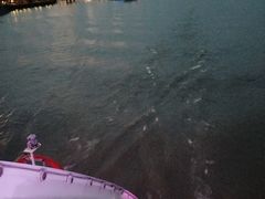 -船长9号·精致湖北菜(江滩店)