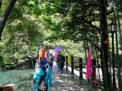 -祁门牯牛降观音堂风景区