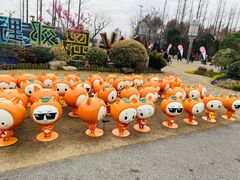 -上海长兴岛郊野公园