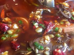 毛血旺-川香楼酒家