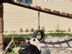 -石家庄市动物园