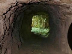 -上海佘山国家森林公园天马山园