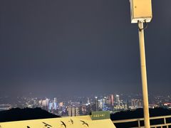 -大金鹰园