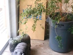 -VOYAGE COFFEE 咖啡烘焙工坊店(798艺术区店)