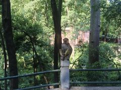 -黔灵山公园