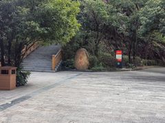-大屏嶂森林公园