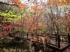 -本溪老边沟风景区