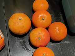 -水木谷养生水汇