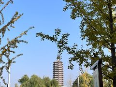 -西海子公园