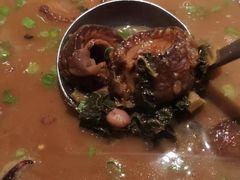 -滇铺子·云南特色菜·第九届野生菌美食节(东风东路c86店)
