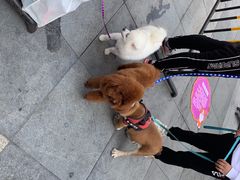 -万达广场(南京江宁店)