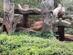 -海南热带野生动植物园