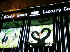 -BLACKSWAN黑天鹅(环球店)