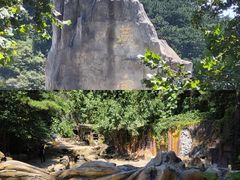 -燕塞湖鸟语林景区