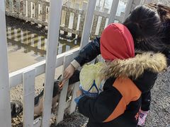 -前小桔亲子创意农场·草莓采摘·露营烧烤