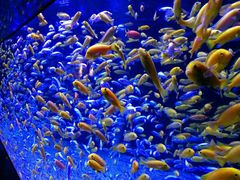 -成都浩海立方海洋公园