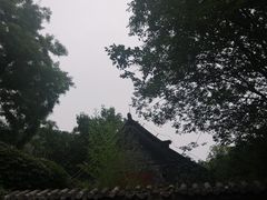 -泰山风景名胜区-普照寺