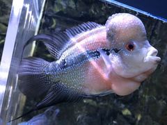 -石林冰雪海洋世界