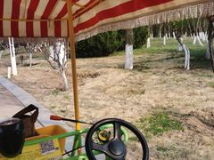 -济南国际园博园