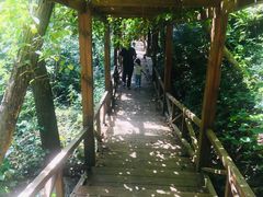 -大岭沟猕猴桃谷风景区