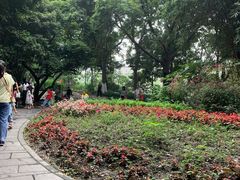 -成都市活水公园