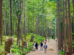 -洛阳白云山景区