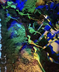 -恐龙探索乐园(磁器口店)