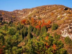 -北京上方山国家森林公园
