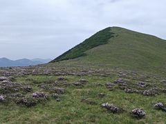 -秦岭风景区