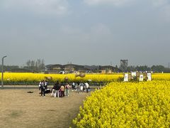 -中国天府农业博览园