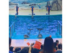 -福州罗源湾海洋世界旅游区