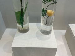 -广东中医药博物馆
