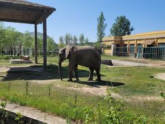 -哈尔滨北方森林动物园