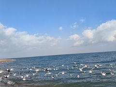 -青海湖二郎剑景区
