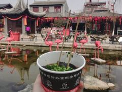 -茯茶镇