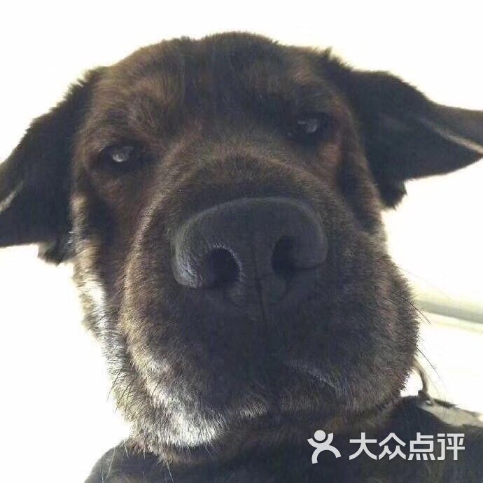 我是路过的           谦1029           小姐你早           开心