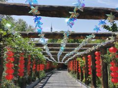-南汇桃花村