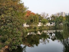-月湖风景区